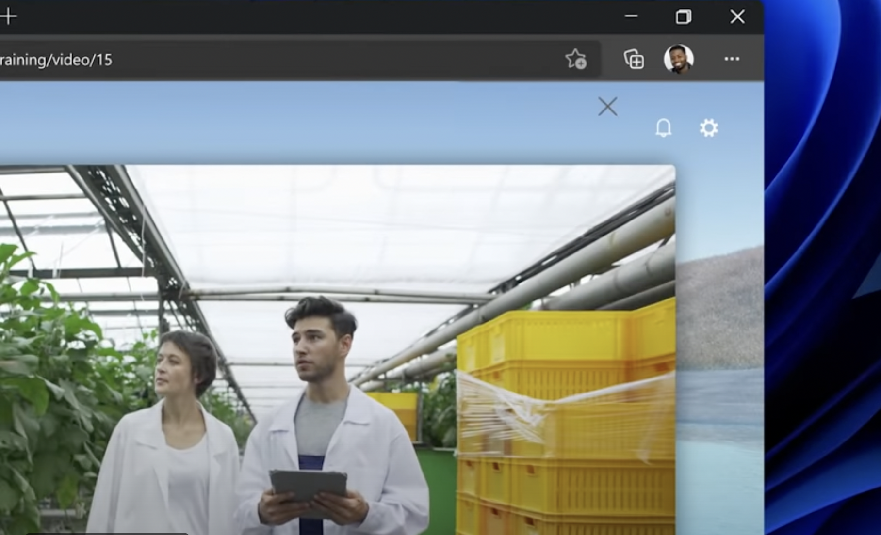 Novedades de Windows 11. (foto: YouTube/Microsoft)