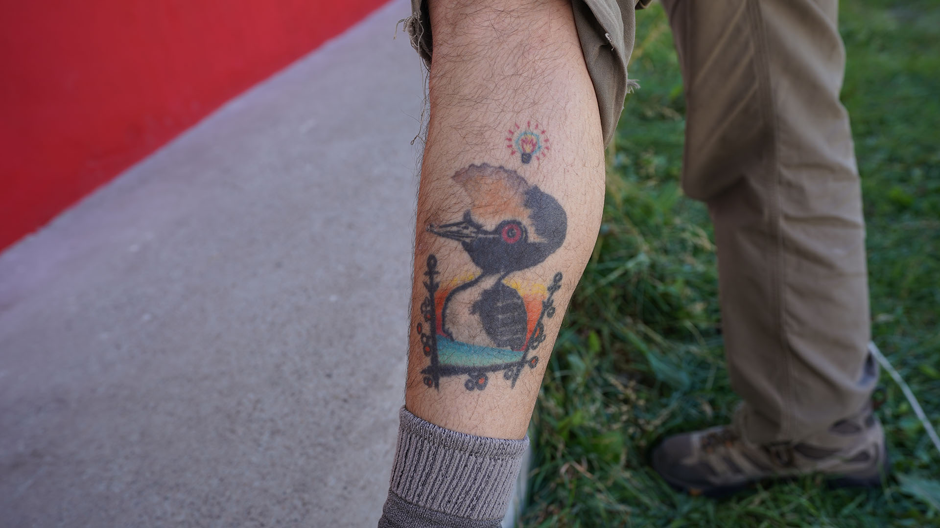Kini tiene tatuado a un Macá Tobiano, la especie por la cual vive para recuperar