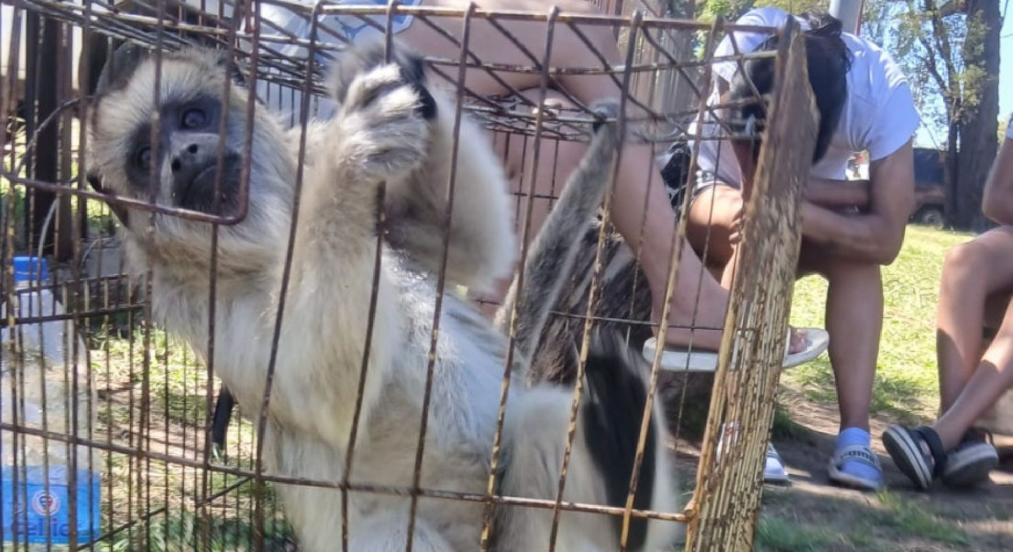 En medio de su construcción federal, Kicillof busca contener a intendentes en alerta por la caída de recursos 