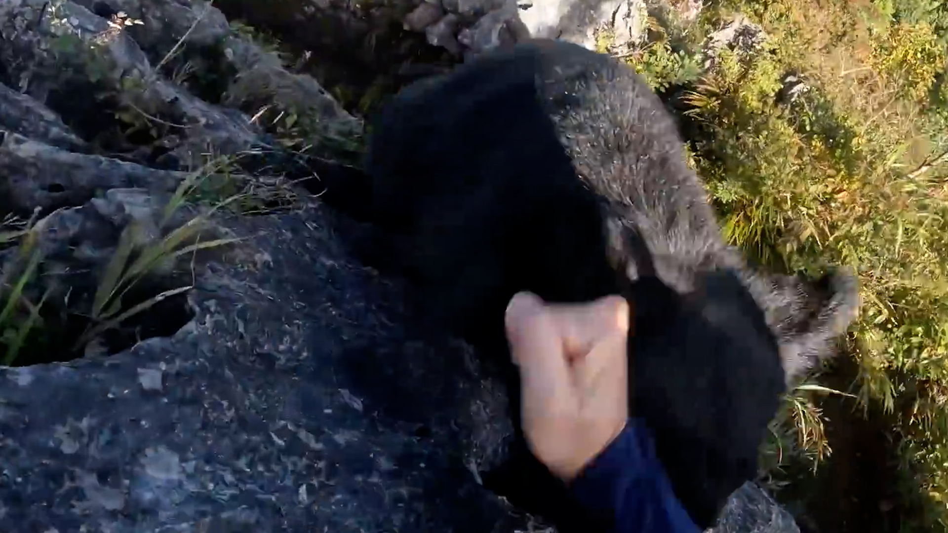 The man dealt several blows to the bear in self-defense