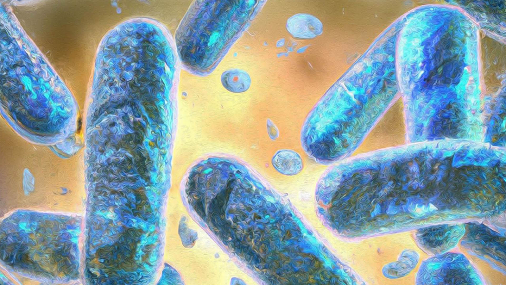 Científicos de la UC San Diego logran retrasar el envejecimiento celular mediante ingeniería y biología sintética