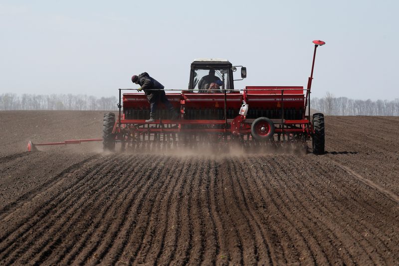 El campo se prepara para la siembra de trigo. REUTERS/Valentyn Ogirenko/Archivo