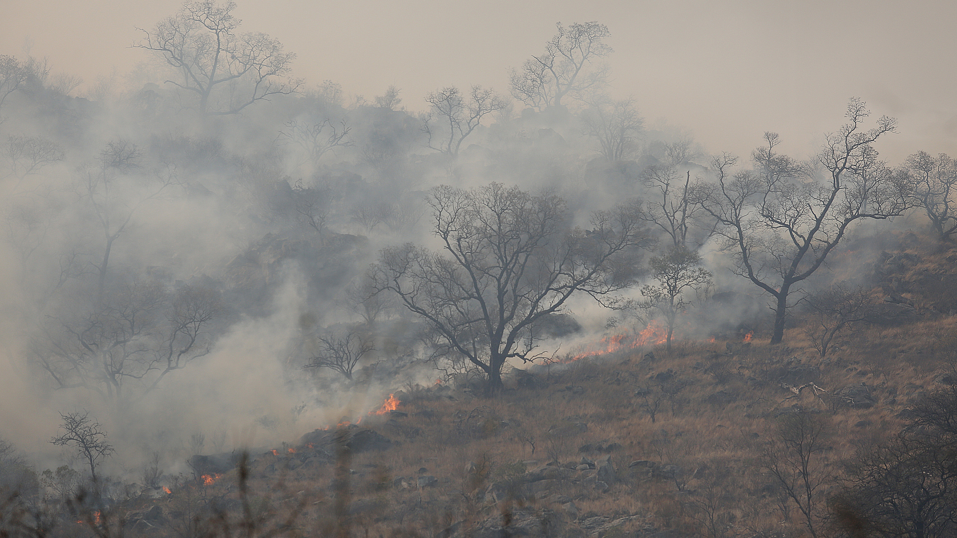 El fuego no para. Las imágenes son desoladoras.
