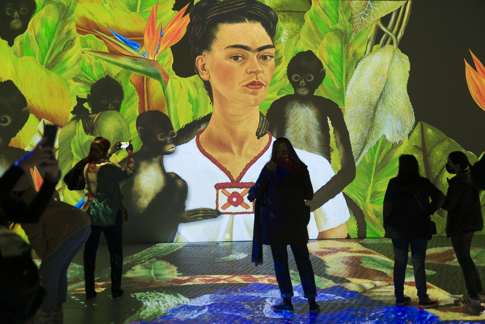 “Vida y obra de Frida Kahlo” llega a Buenos Aires
