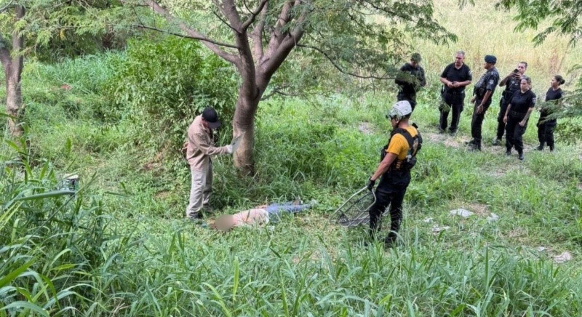 Mejoraron las condiciones financieras en Argentina al cierre de 2025, según un informe privado: cuáles fueron los motivos