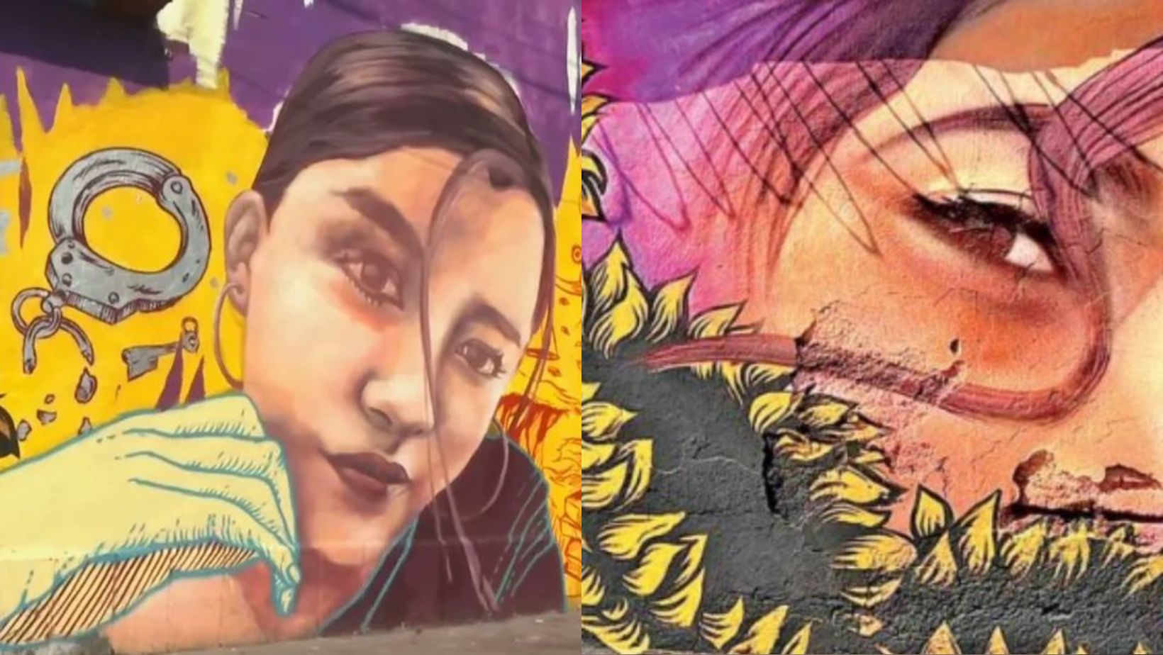 Pintaron un mural para recordar a Ariadna Fernanda en la colonia donde creció.
(Captura de pantalla Twitter)