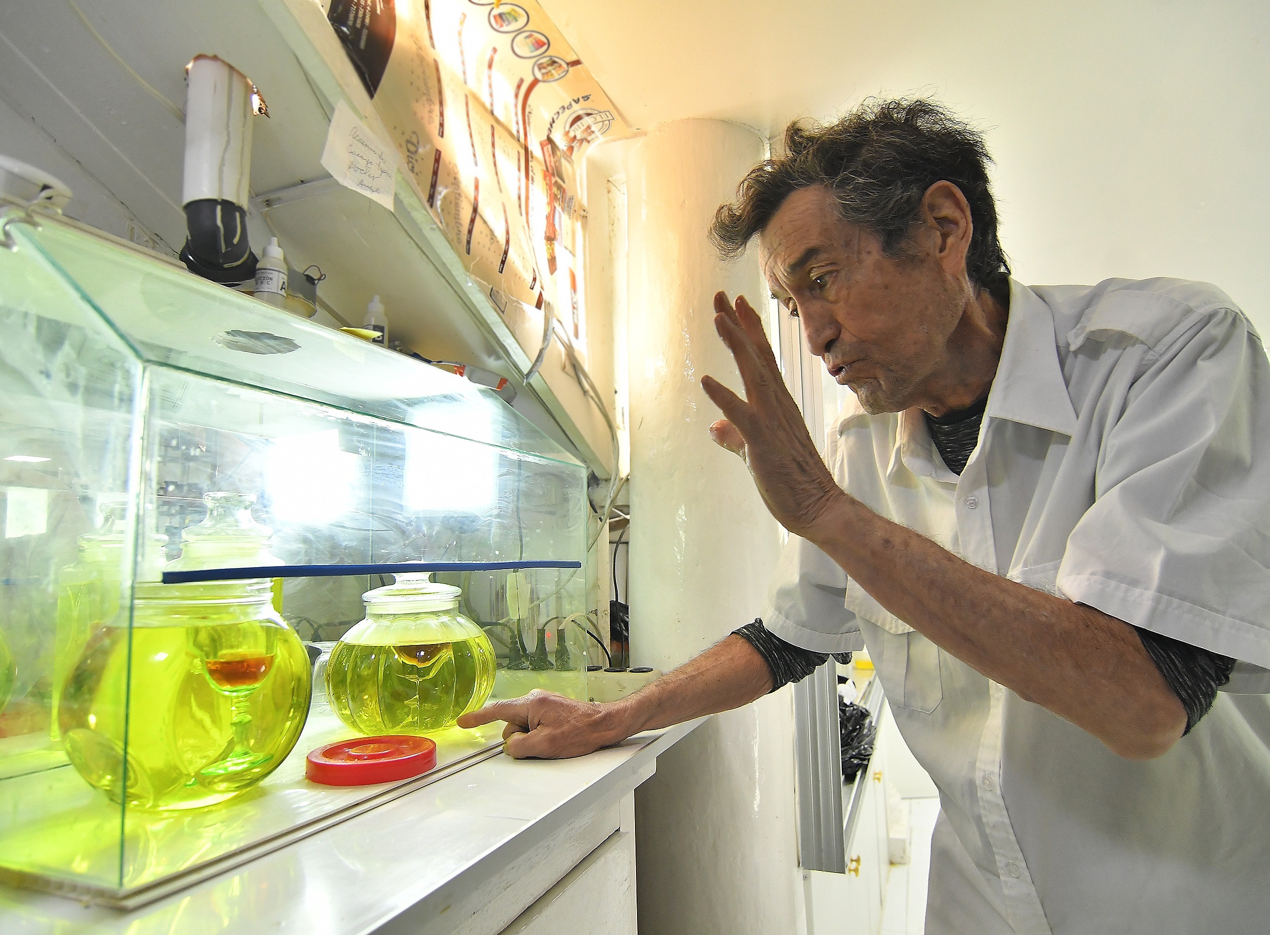 Imagen del 22 de julio de 2020 del doctor Federico Anze mientras muestra dióxido de cloro en la Farmacia Boliviana en Cochabamba (Bolivia). EFE

