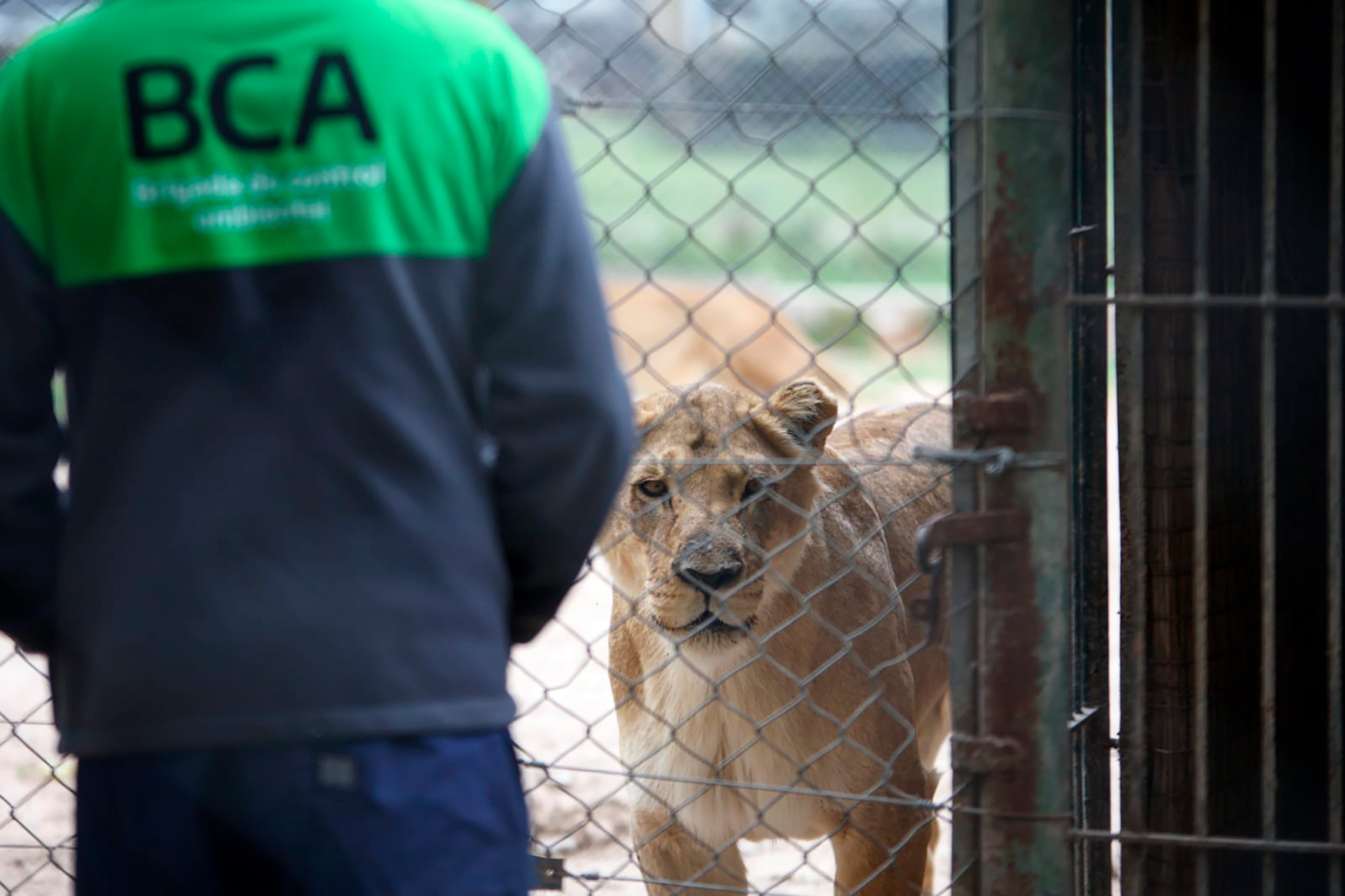 Inspeccionaron el zoológico de Luján por la denuncia de un ex empleado