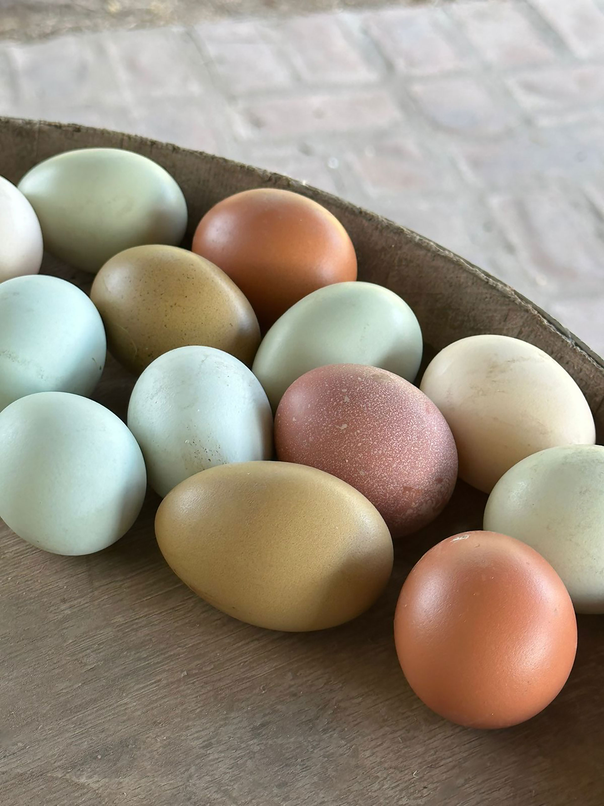 The light blue color present in chicken eggs amazes many