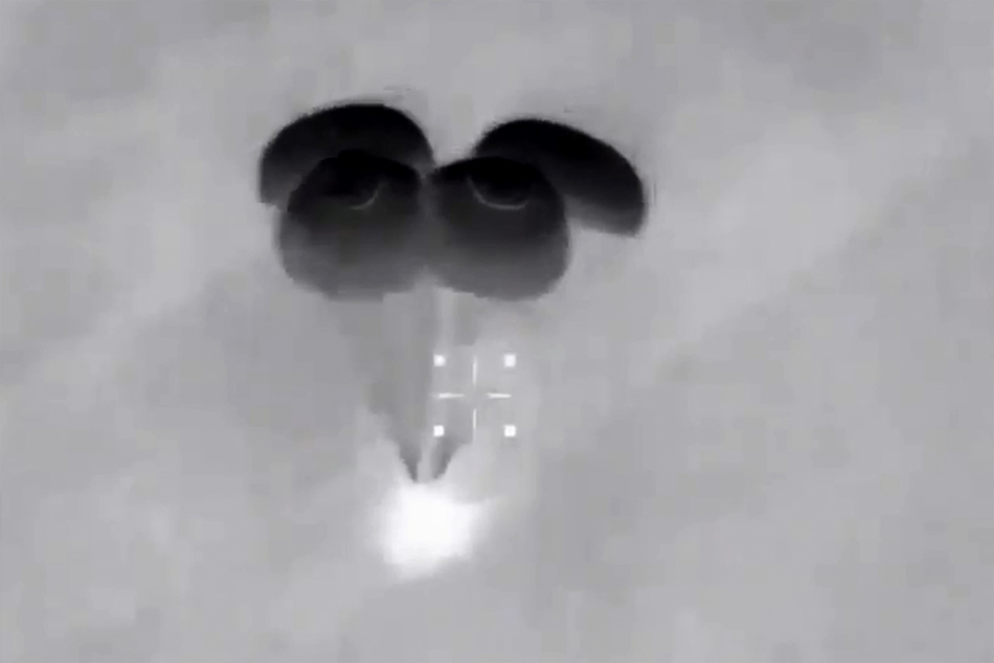 La cápsula de SpaceX con los paracaídas (AFP)
