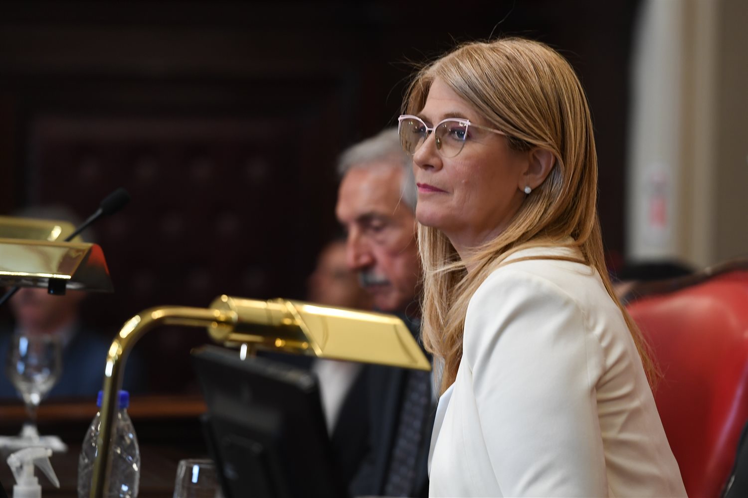 Por las comisiones en el Senado bonaerense, el PJ reflot&oacute; su interna y los libertarios buscan sacar provecho