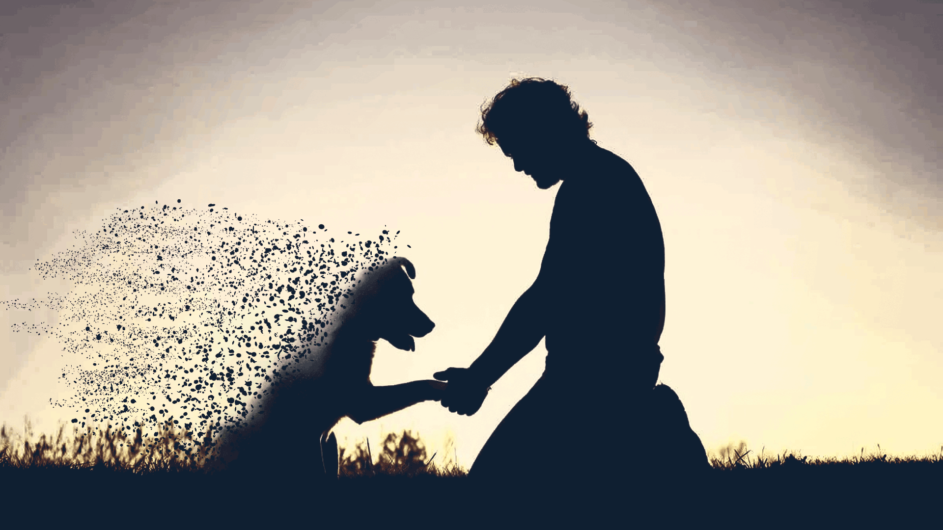 Como Consolar A Un Niño Cuando Muere Su Padre