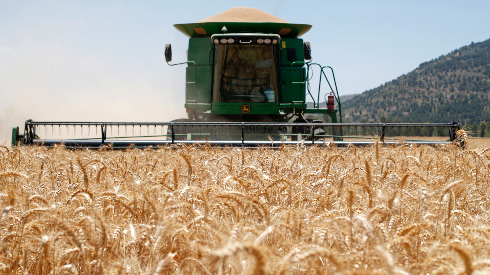 Otero sostiene que se deben proveeer más alimentos para "aumentar sostenidamente nuestros niveles de oferta y tratar de que este impacte de menor manera posible en la capacidad adquisitiva de nuestra población" (Archivo DEF)