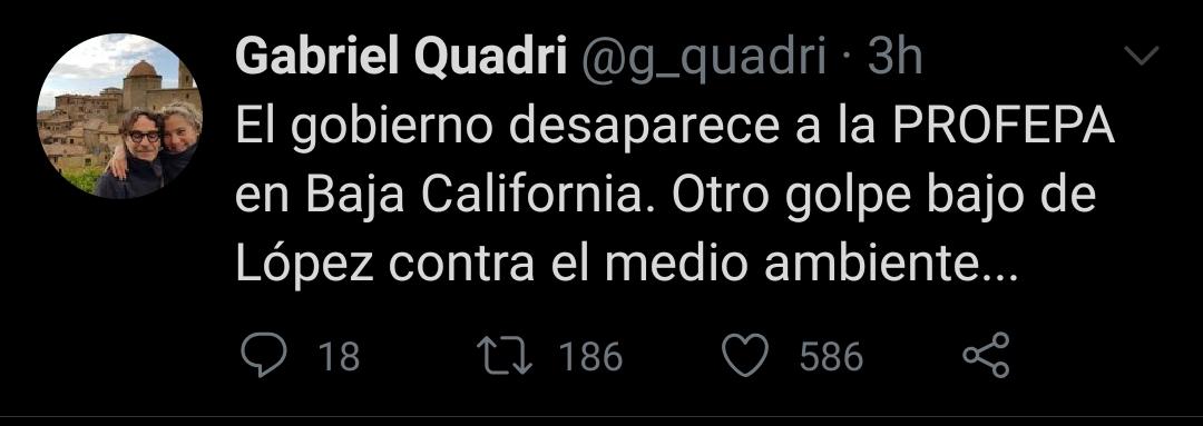 El diputado nuevamente se lanzó contra AMLO a través de Twitter (Foto: Twitter/@g_quadri)