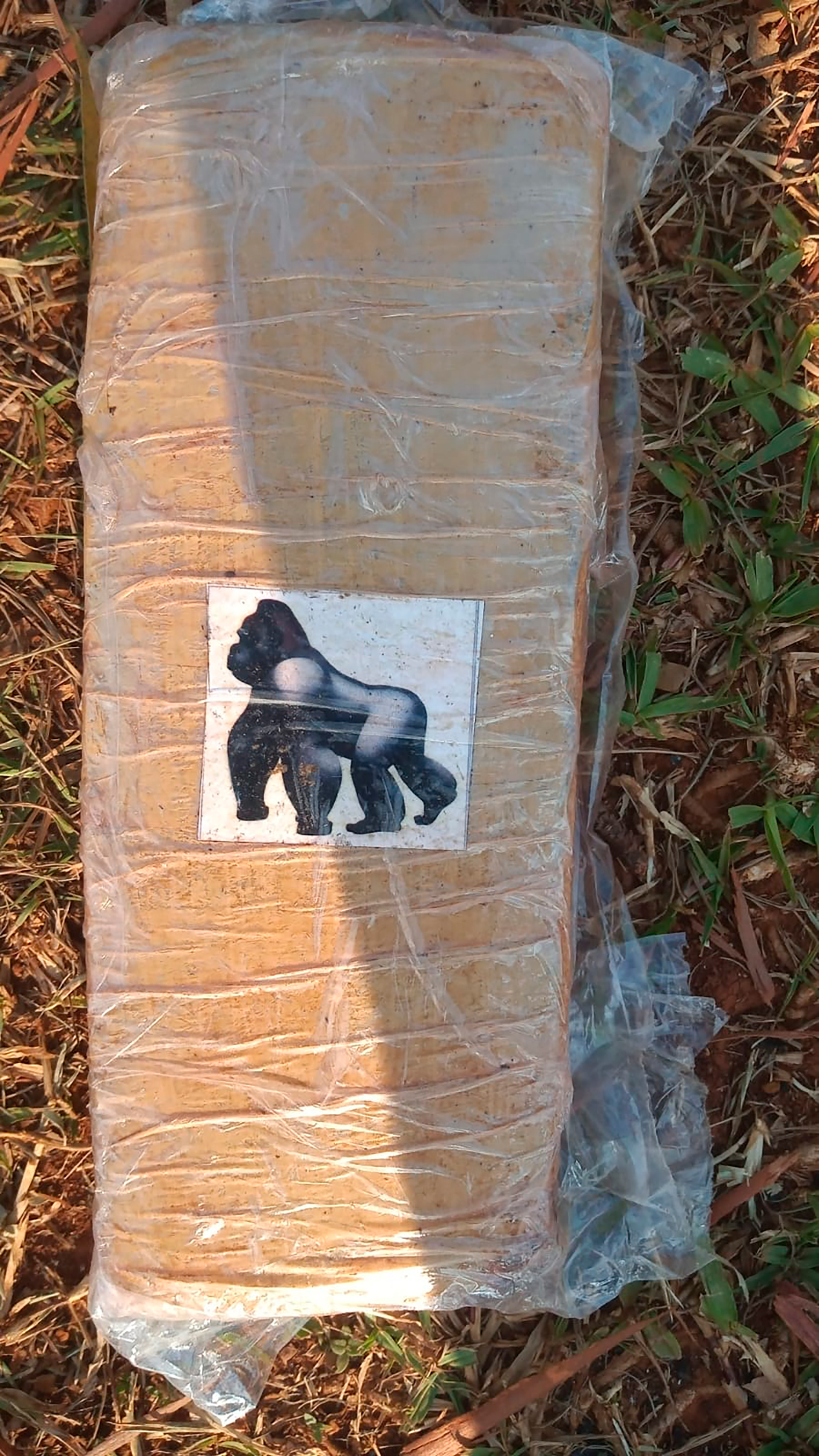 El sello del gorila en los paquetes de droga