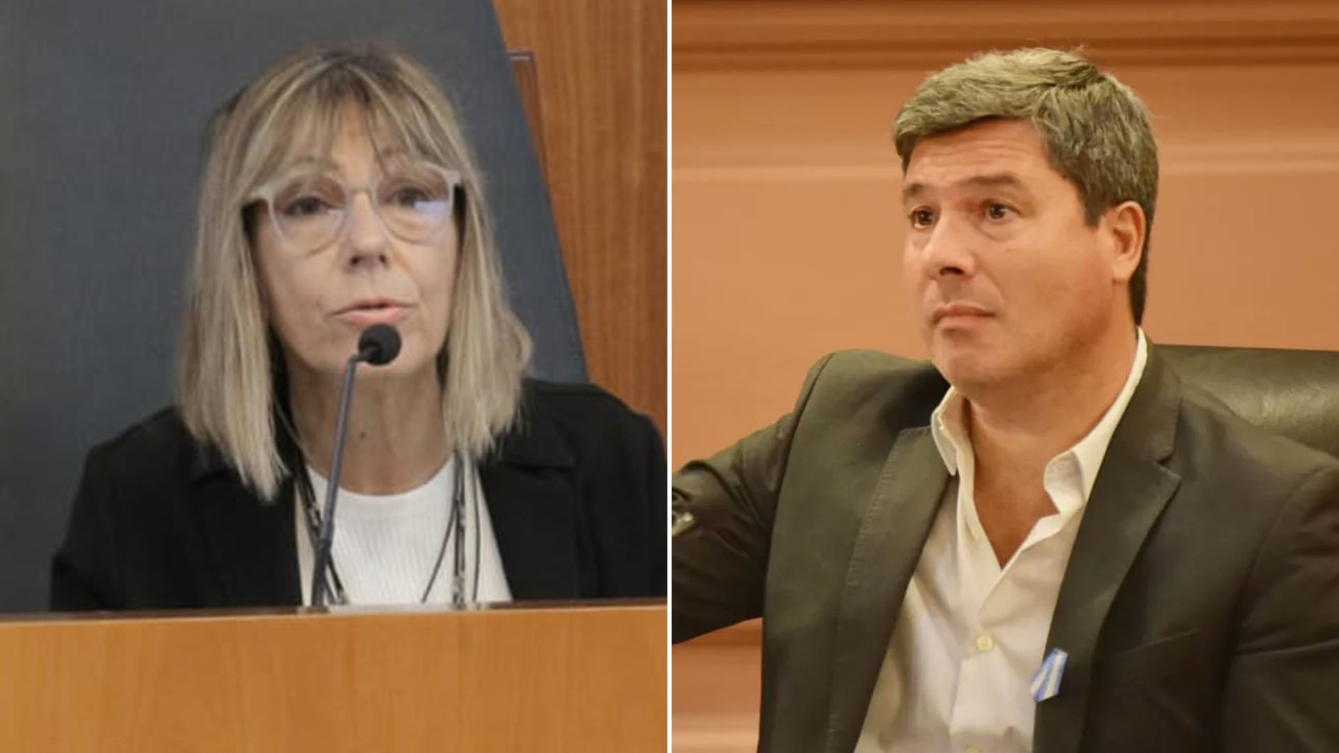 Los votos en contra de la destitución fueron de Verónica Mulone y Gustavo Zavallo.