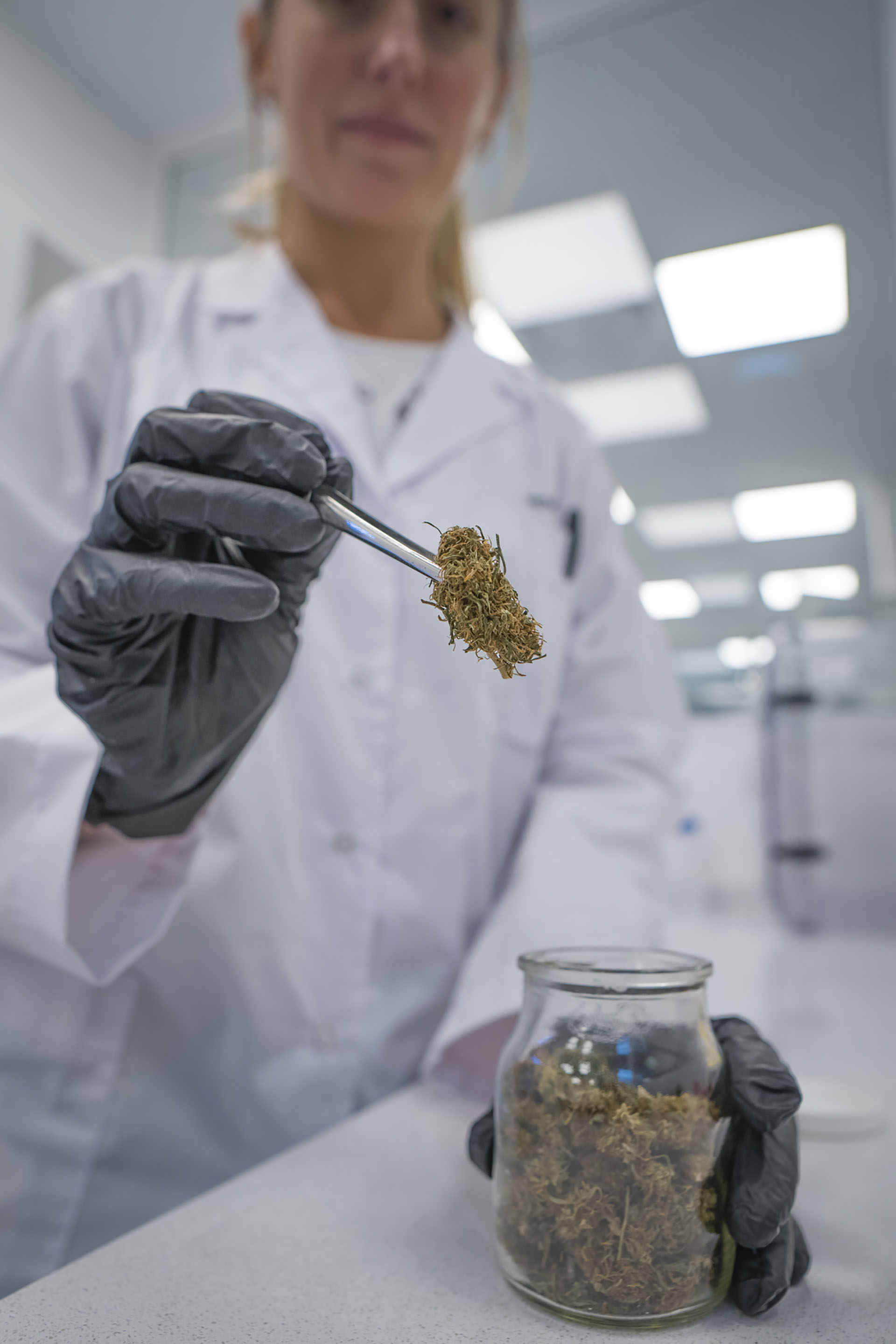 En el laboratorio se analizan los cannabinoides y los terpenos de la flor de cannabis, entre otros servicios (Gentileza Hemp Lab)