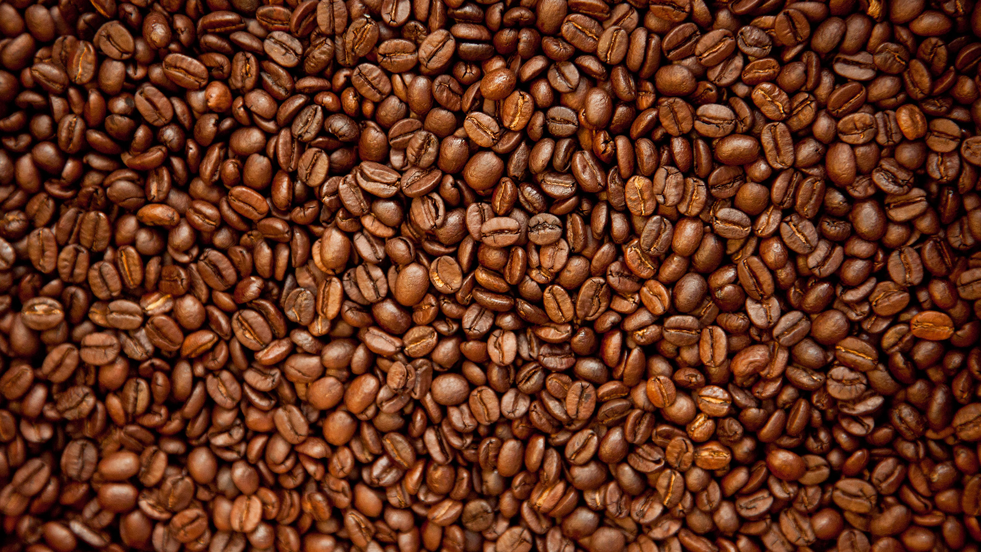 110.000 agricultores -solo de Nespresso- viven de la industria del café (Foto: Getty Images)