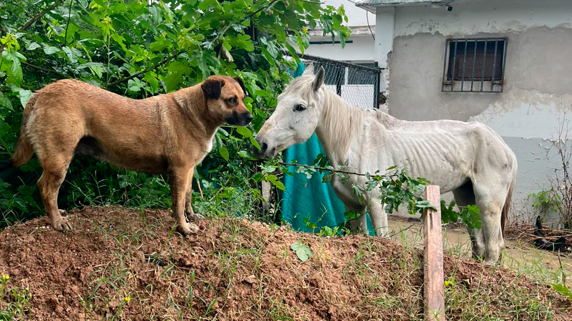 Reforma tributaria: Caputo analiza cambios en Ganancias, pero aún no tuvo contacto con los gobernadores
