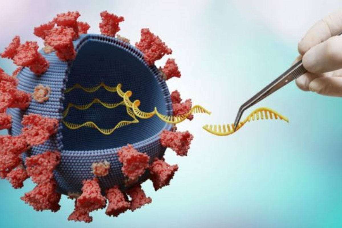 COVID-19: cómo el virus afecta las proteínas estructurales de nuestro ADN