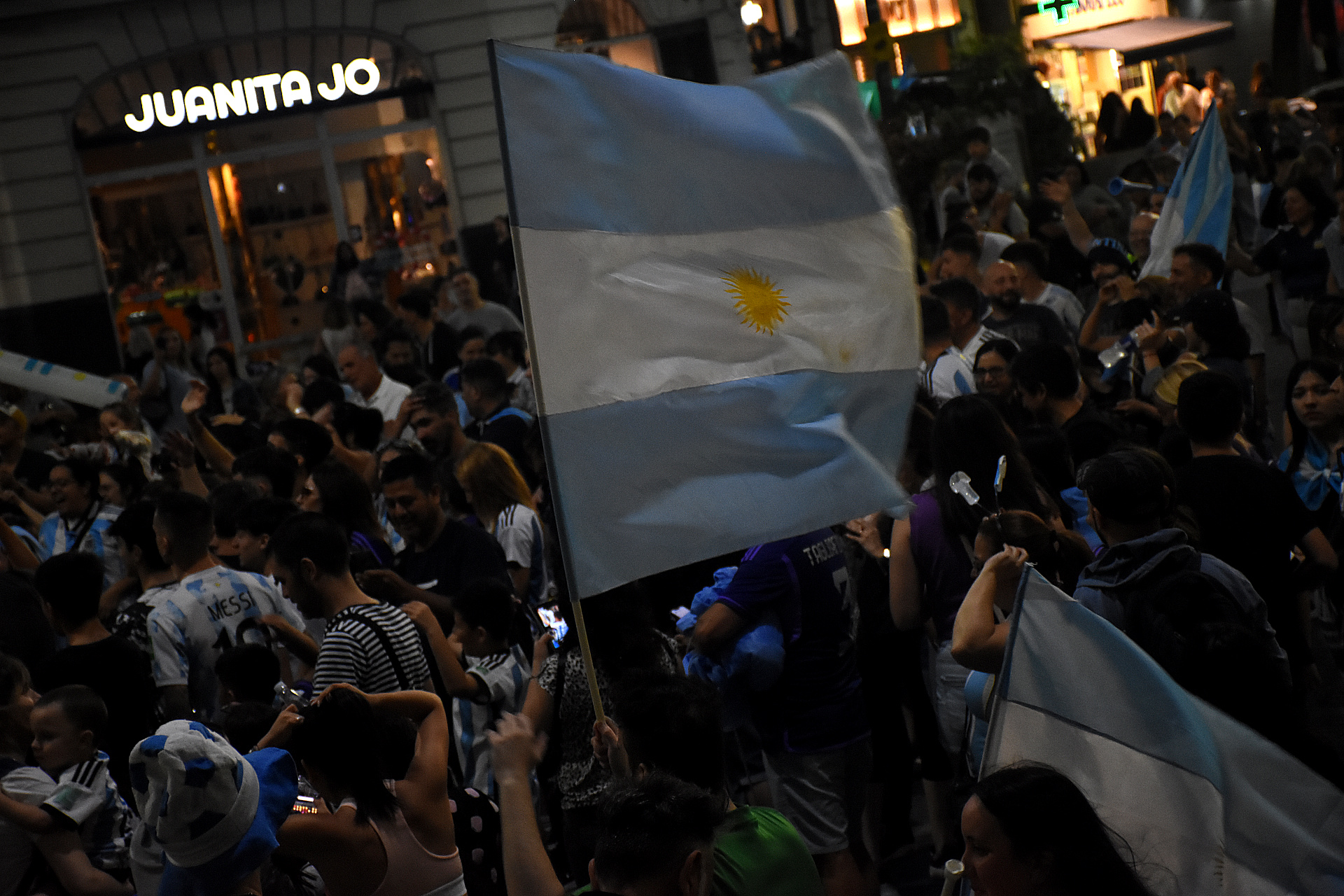Las banderas argentinas, infaltables en el banderazo porteño (Crédito: Nicolas Stulberg)