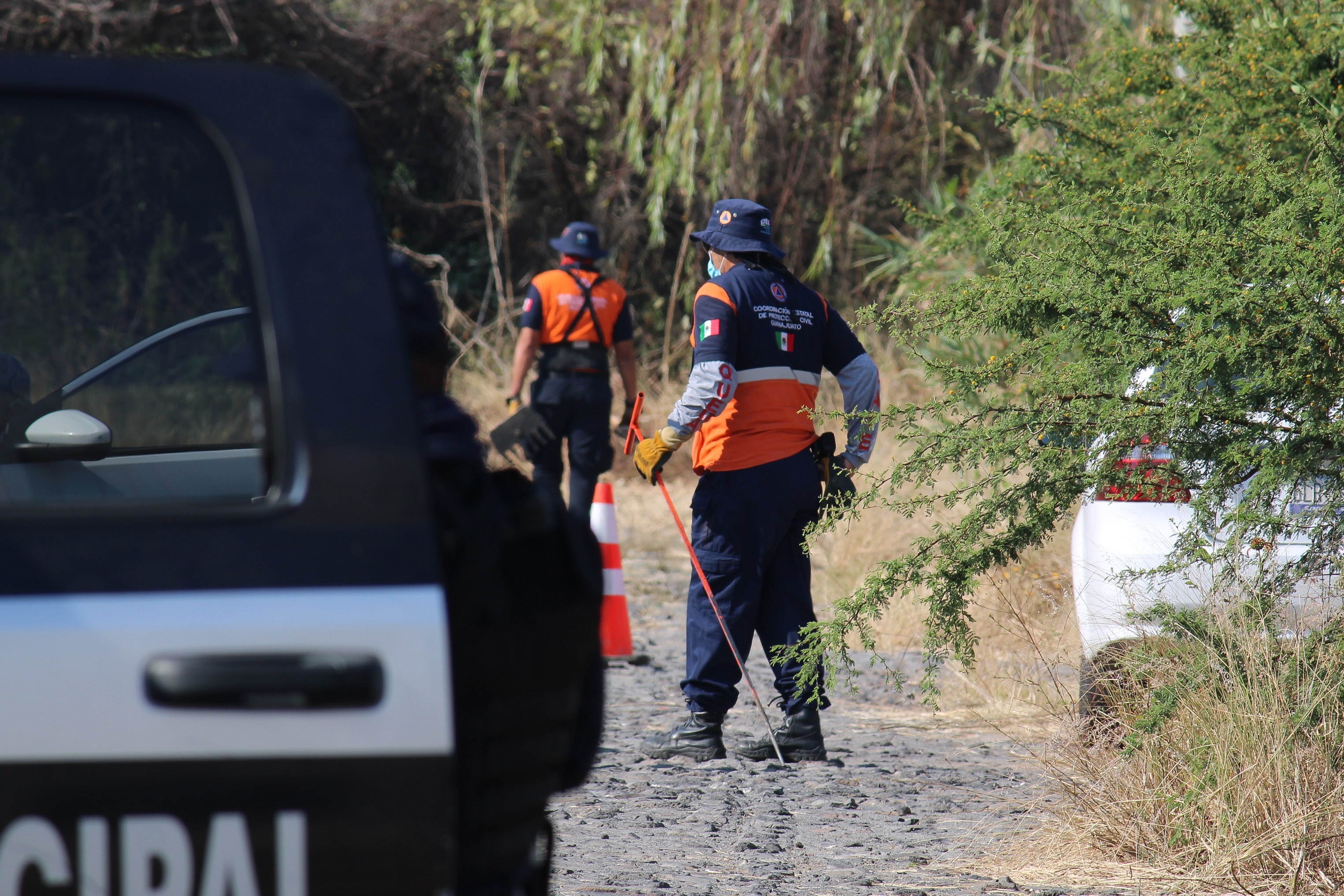 Miembros de  distintas corporaciones hallaron fosas clandestinas, en el municipio de Salvatierra (Foto: EFE/STR)
