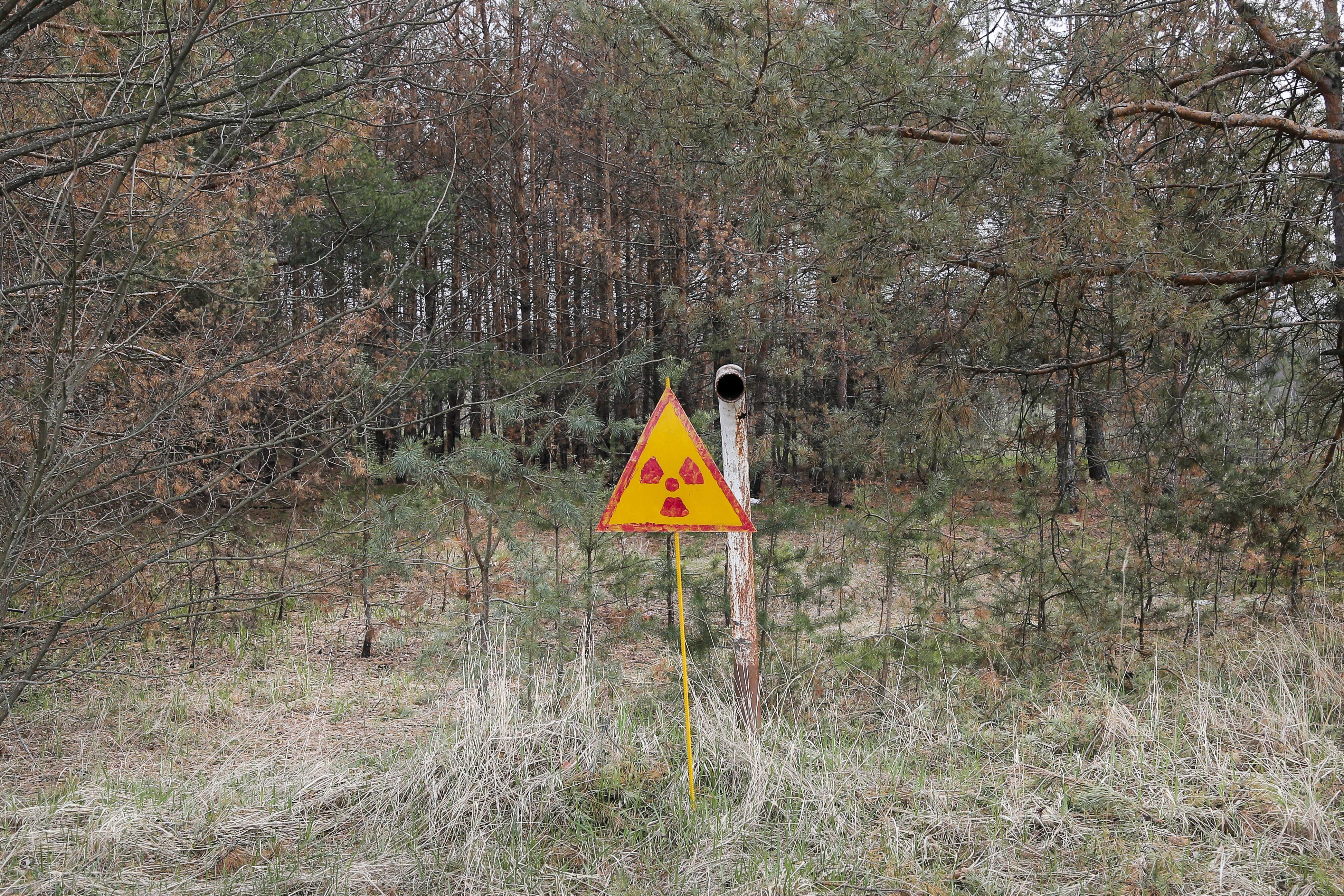 El símbolo del desastre nuclear en los campos cercanos a Chernobyl (AP)