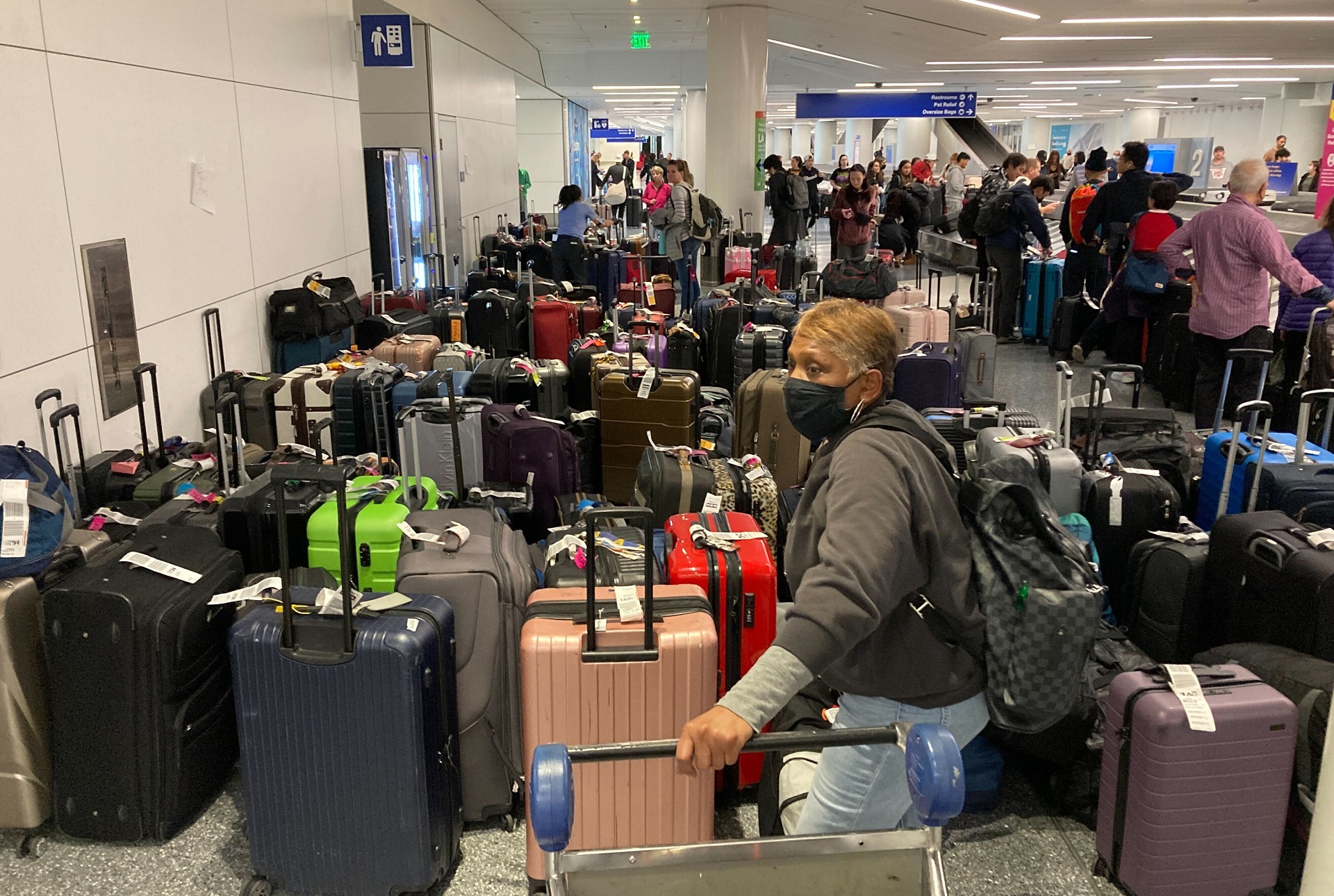 Passenger Baggage (AP) from canceled flight