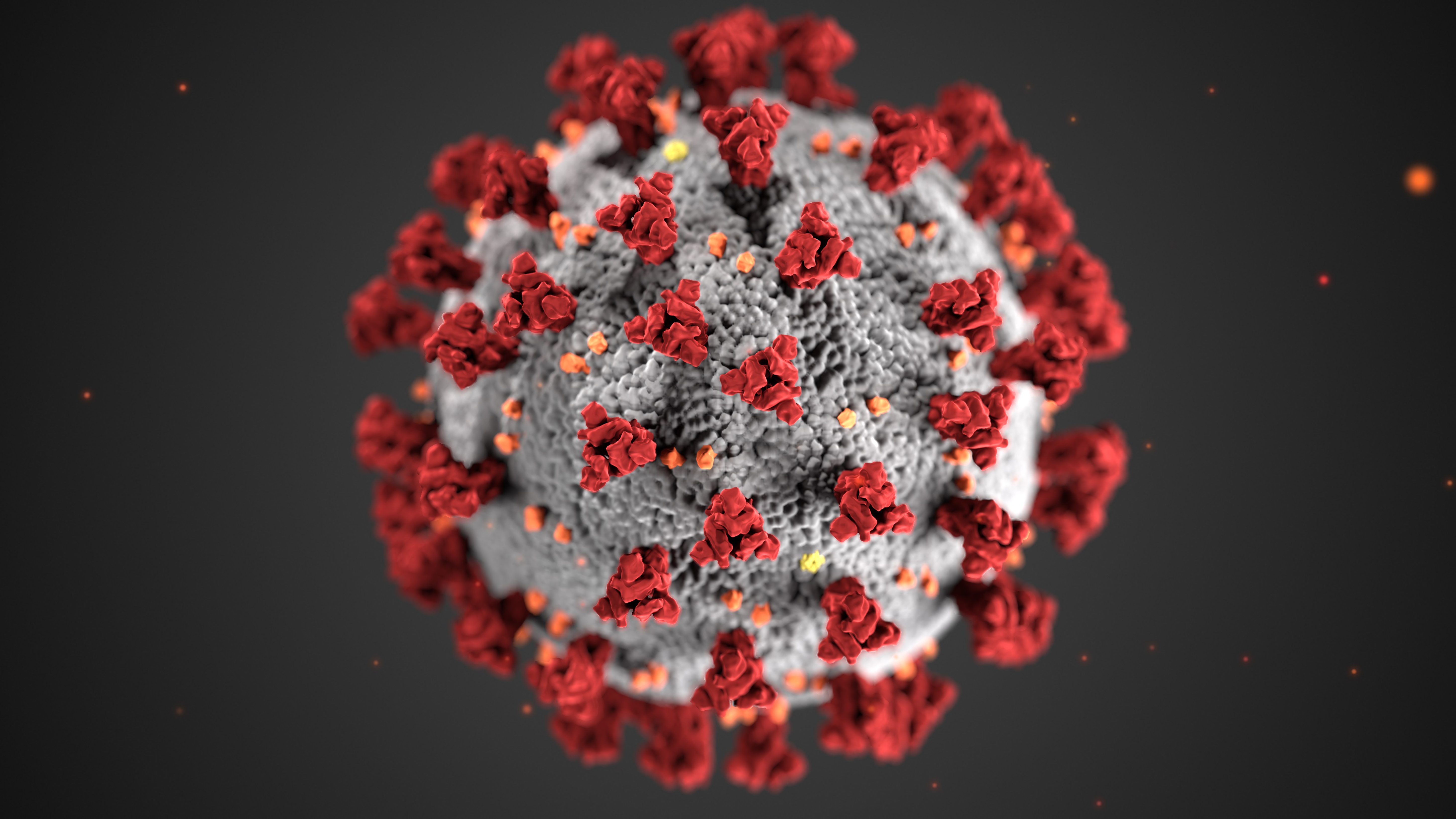 Existe un proceso en el que las células puede limitar la infectividad del SARS-CoV-2 (Smith Collection/Gado/Getty Images)
