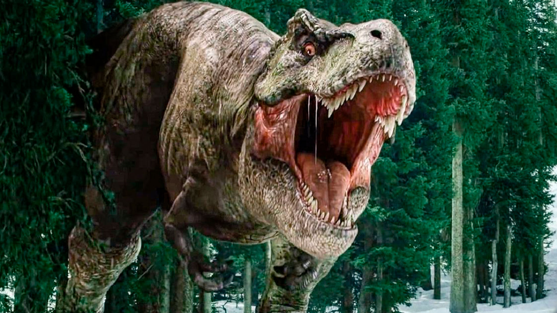 El Giganotosaurus Carolinii, será la nueva especie a la que tendrá que hacer frente Pratt, el protagonista de Jurassic World Dominion, de Colin Trevorrow (captura)