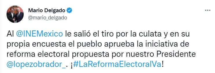 Mario Delgado se burló de la encuesta del INE sobre Reforma Electoral (Foto: Twitter/@mario_delgado)