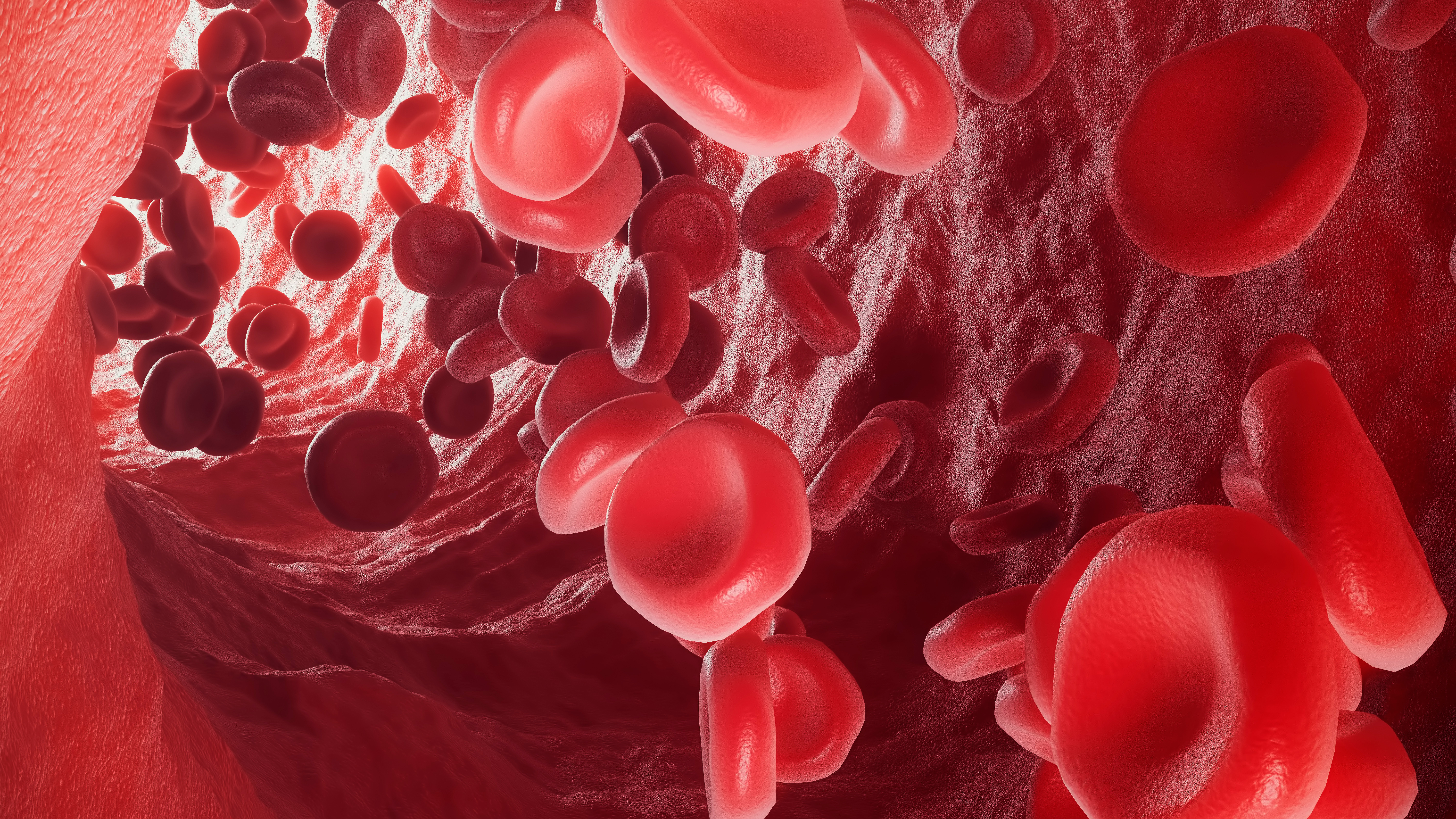 En pacientes con COVID-19 la hemoglobina se altera, no puede transportar oxígeno (Shutterstock)