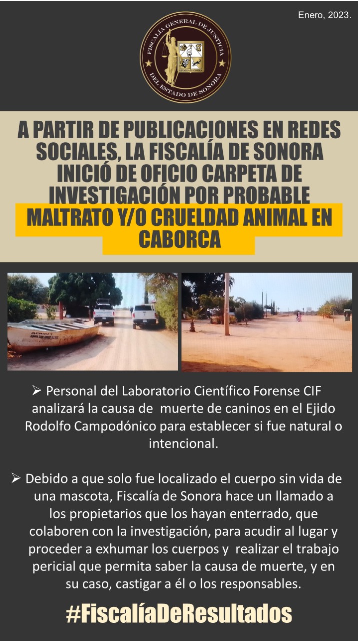 La Fiscalía General del Estado trabaja para esclarecer el asesinato de los perros en Caborca (FGE)