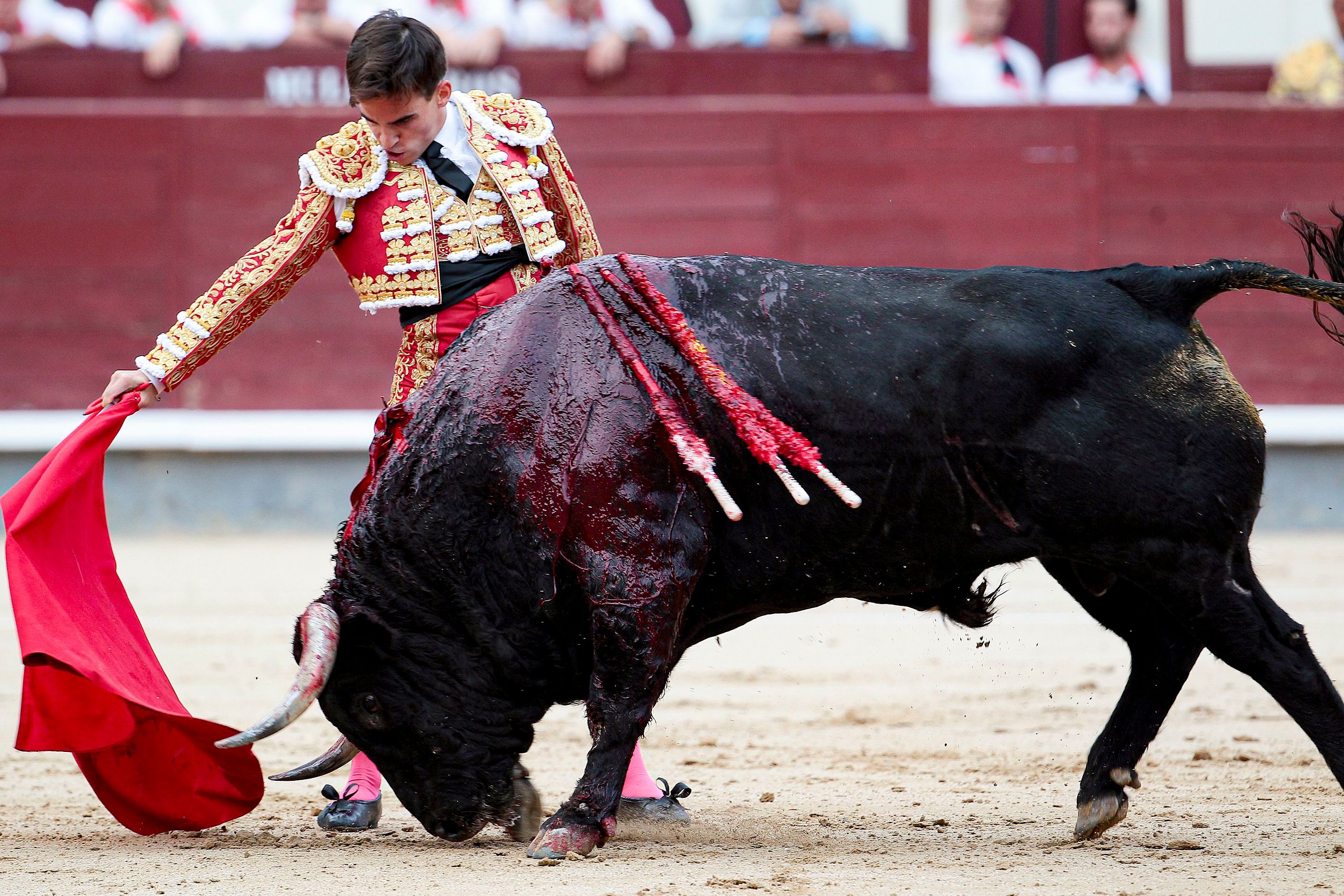El coronavirus podría asestar la estocada final a las corridas de toros en  España - Infobae