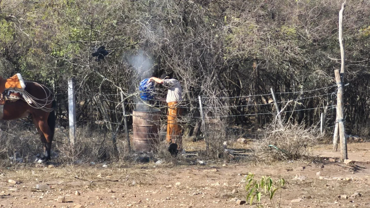Un hombre encendi&oacute; una fogata para quemar basura a dos d&iacute;as de los incendios en Salta y fue multado