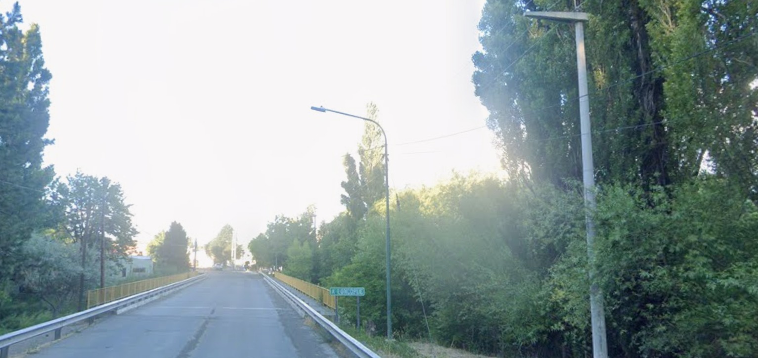 Tragedia en Neuqu&eacute;n: un hombre fue atacado por un enjambre de avispas "chaquetas amarillas" y muri&oacute;