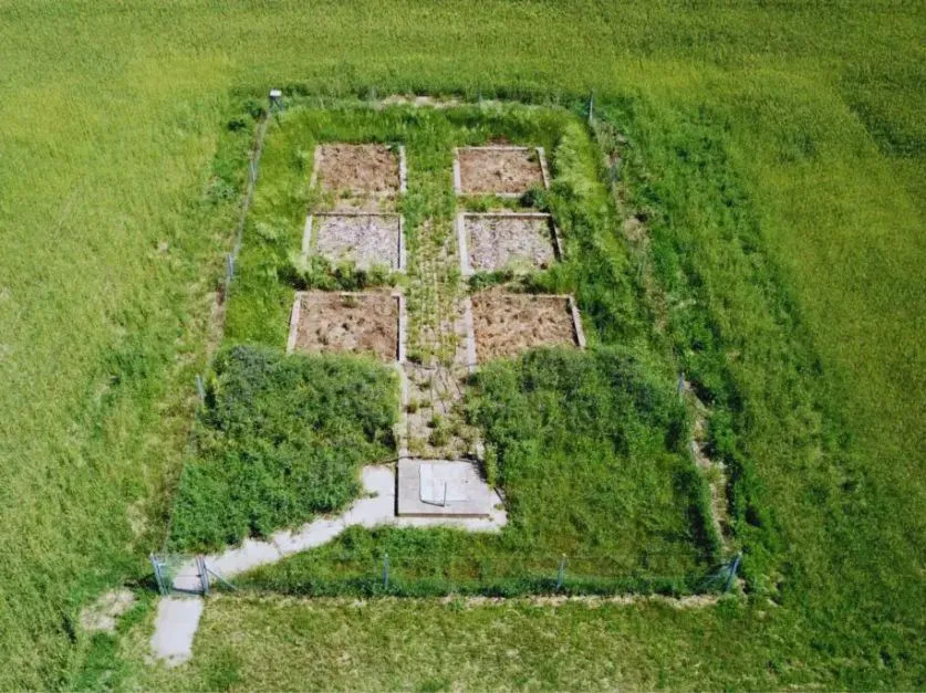 El valor de los ensayos de larga duración: ciencia para el futuro de la agricultura - Infobae