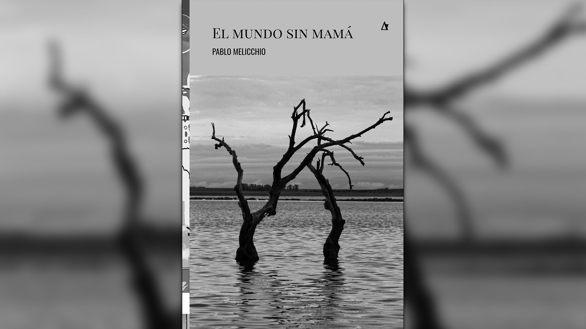 "El mundo sin mamá" (Editorial Palabrava), de Pablo Melicchio