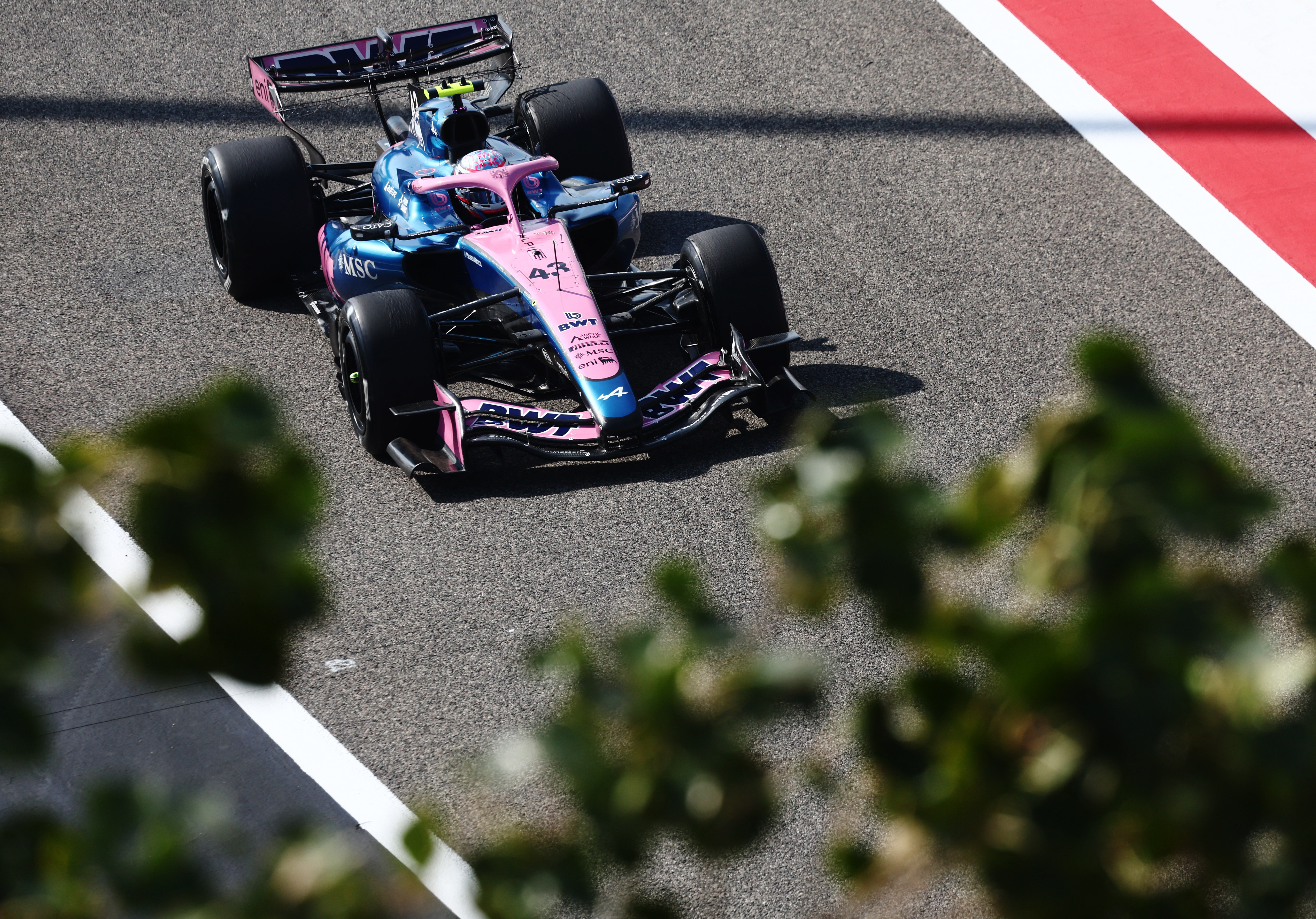 Dólar hoy en vivo: a cuánto se operan todas las cotizaciones minuto a minuto este viernes 13 de febrero