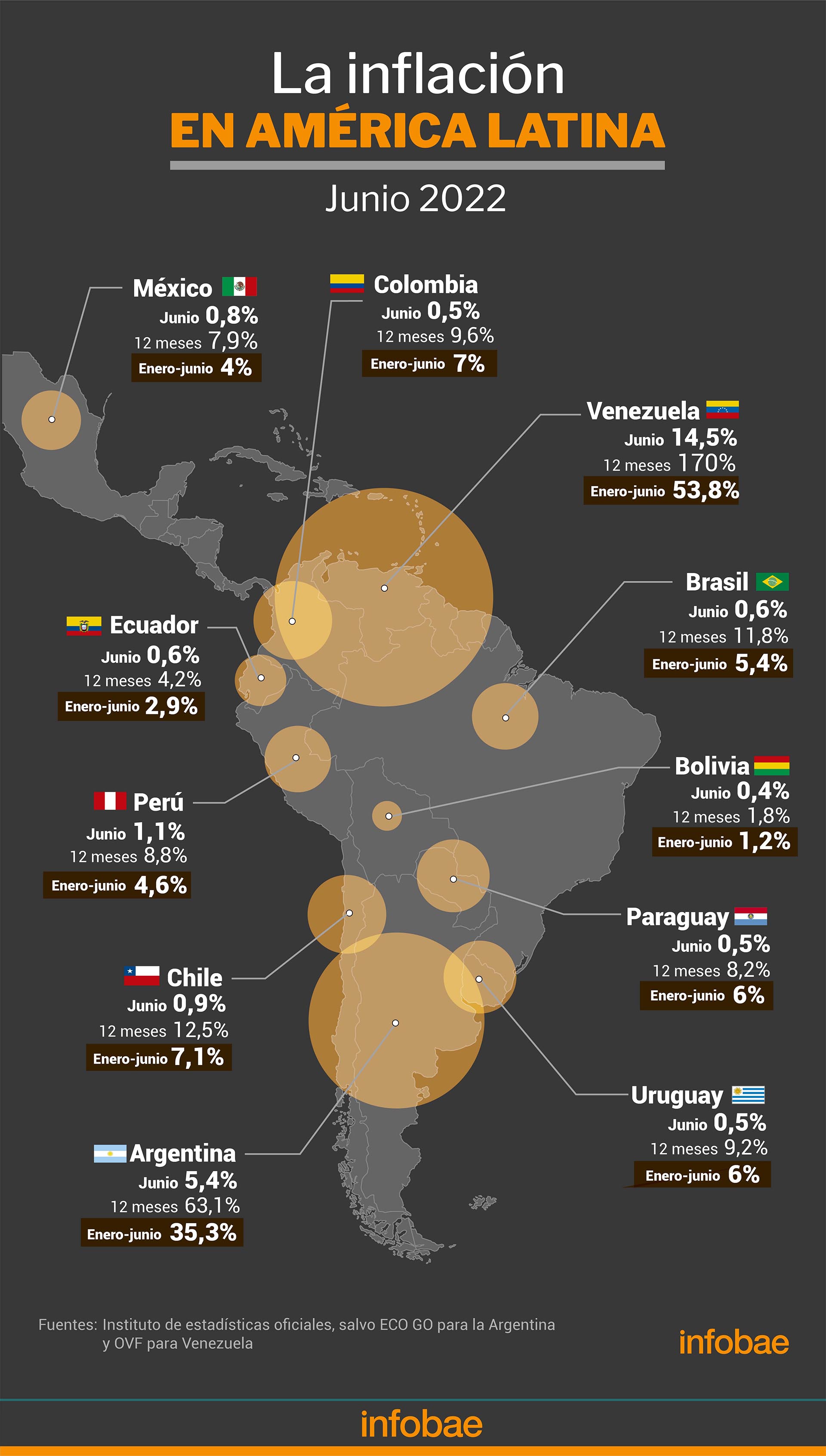La inflación en junio en América latina
Infografía de Marcelo Regalado
Fuente: institutos de estadística salvo Argentina ECO GO y Venezuela OVF