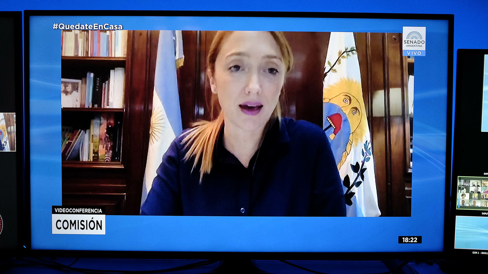 Senadora Anabel Fernández Sagasti (foto captura TV)