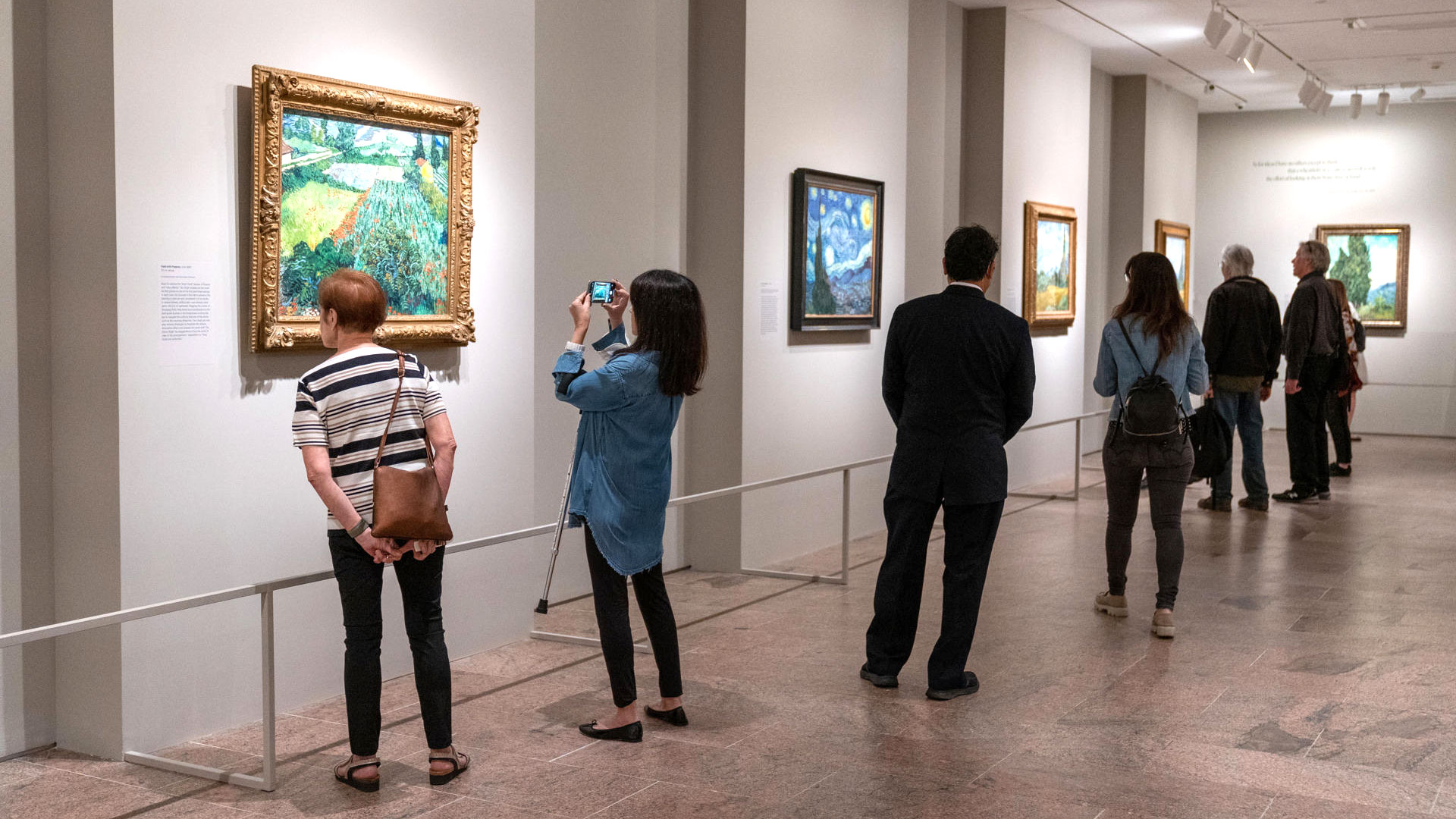 Una muestra en el MET revela la fascinación de van Gogh por los cipreses 
