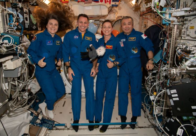 Los cuatro integrantes de la nave Dragon de SpaceX de la misión Crew-5 (Josh Cassada y Nicole Mann de la NASA, la cosmonauta rusa Anna Kikina y el japonés Koichi Wakata) volvieron a Tierra