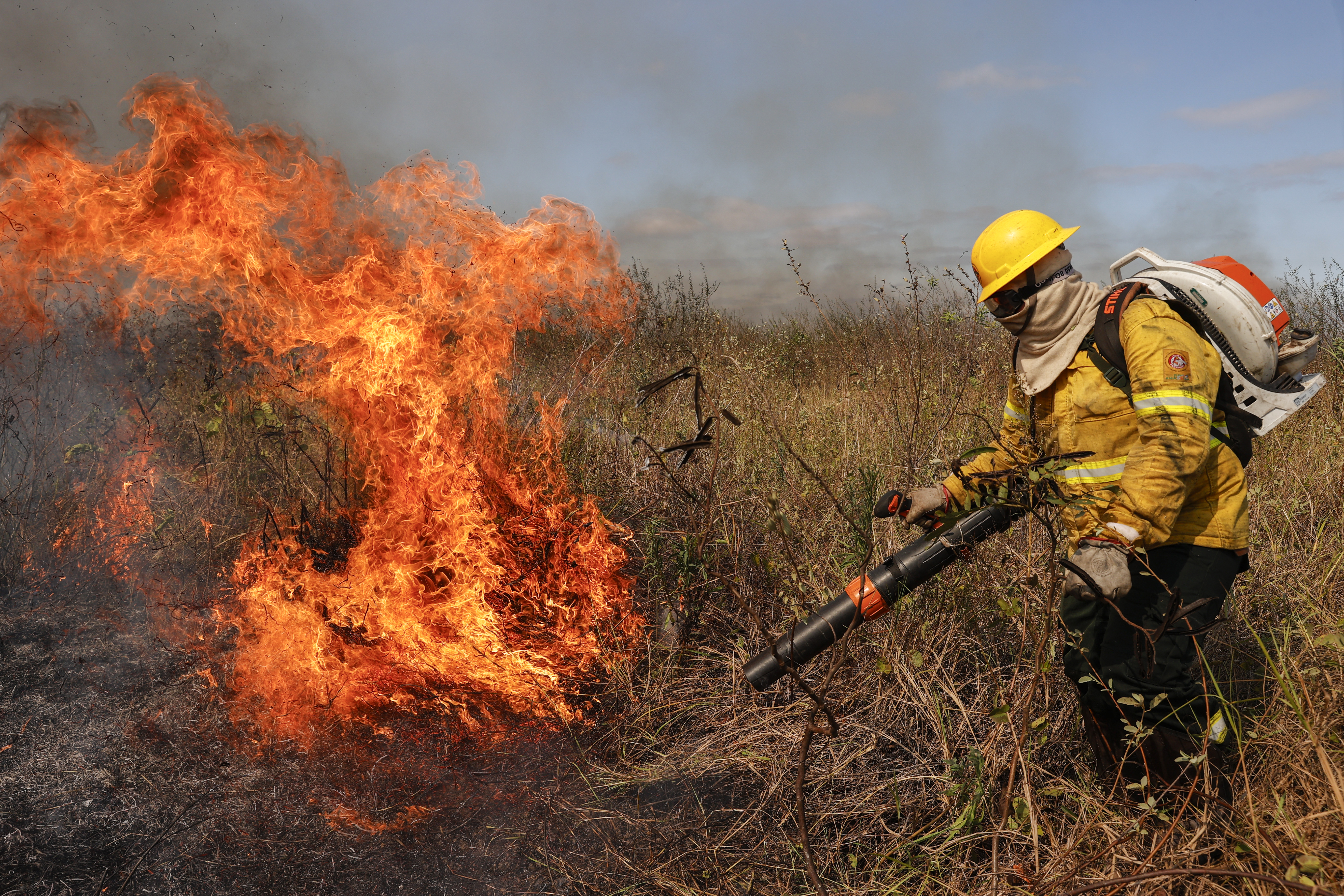 Incendios forestales en Brasil: cómo el cambio climático agrava la crisis del Pantanal y la Amazonía