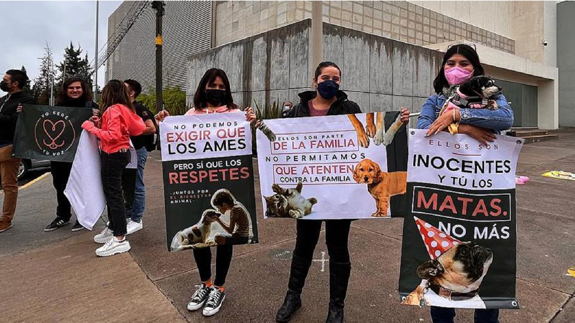 Primer juicio penal por maltrato animal en México está haciendo historia en Querétaro
