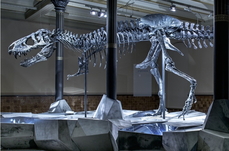 El ejemplar de T. Rex bautizado "Tristan Otto" , se encuentra en el Museo Nacional de Berlín, es el Tiranosaurio Rex más completo encontrado hasta ahora (Foto: Museo für Naturkunde)