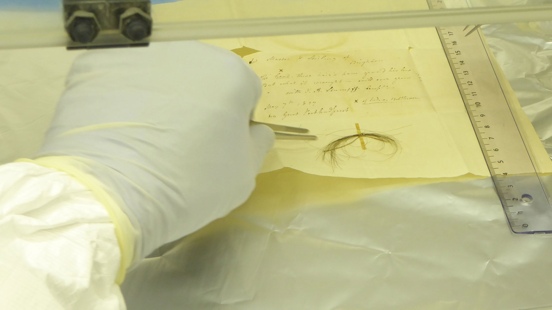 A partir de mechones del cabello de Ludwig van Beethoven, se pudo secuenciar su genoma. Aquí un momento en el Max Planck Institute for the Science of Human History, Alemania/ Anthi Tiliakou.
