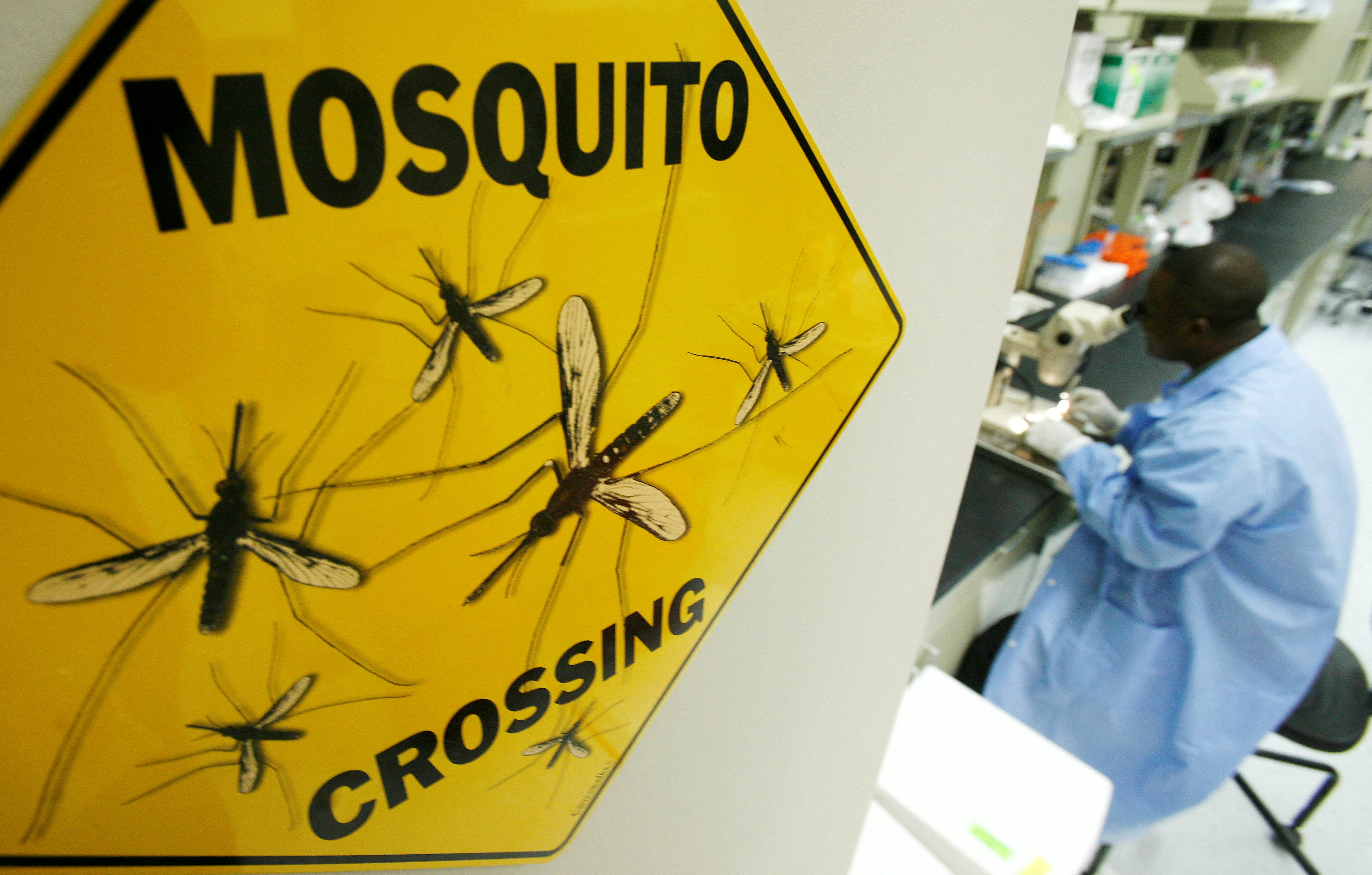 Los científicos estudian varias vacunas y formas de esterilizar a los mosquitos que transmiten el dengue y otras enfermedades