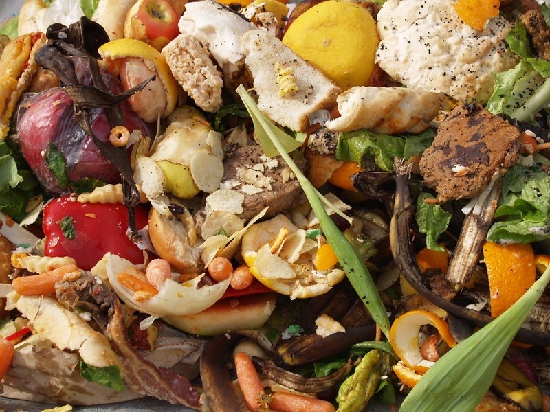 01-01-1970 Desperdicio de alimentos. Comida en la basura..

Reducir el desperdicio de alimentos es crucial para nuestra capacidad de alimentar a la creciente población humana y frenar el calentamiento global.

SALUD
STARR/FLICKER
