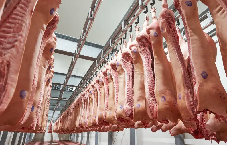 Zelensky anunció la esperanza de un nuevo canje de prisioneros con Rusia tras la reunión en Emiratos Árabes Unidos